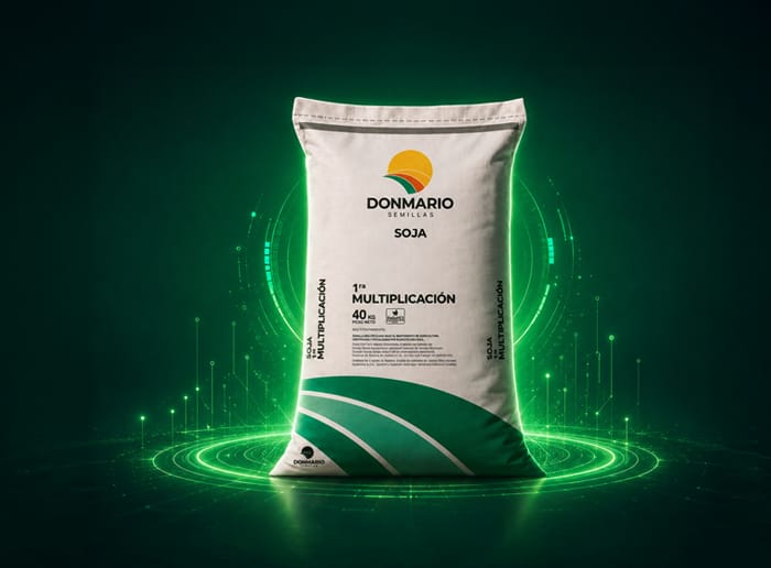 Bolsa de soja DONMARIO DM 58E27 SE