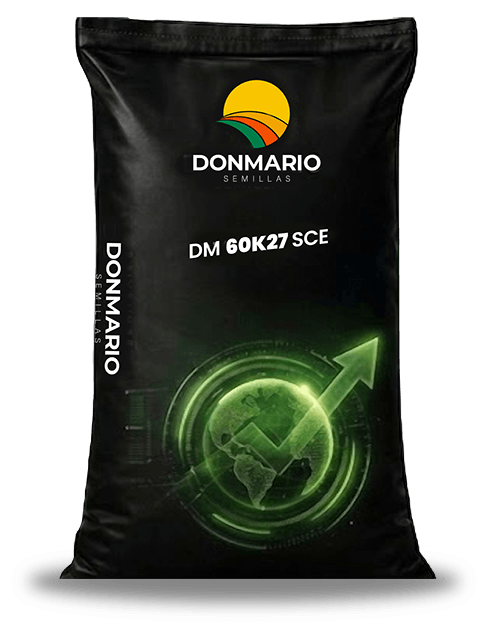 Bolsa de soja DONMARIO DM 60K27 SCE
